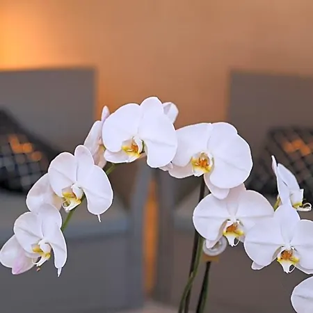 Au Doux Repos Bed & Breakfast 3*