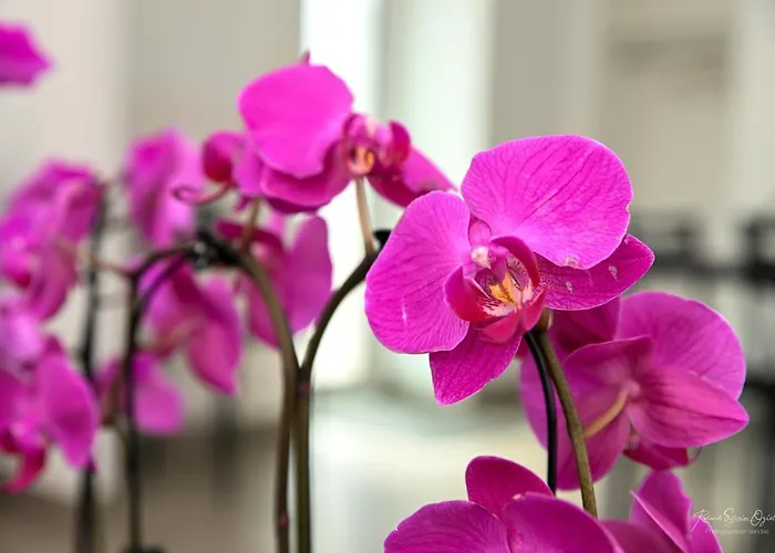 Au Doux Repos Bed & Breakfast 3*