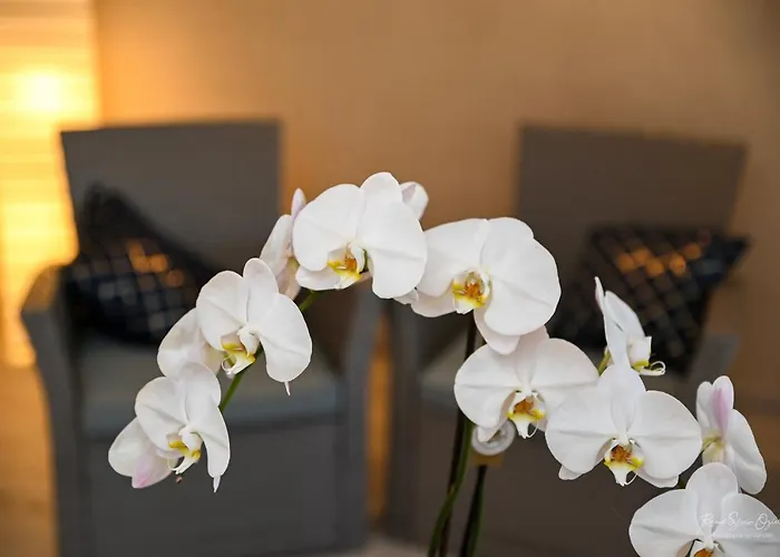 Bed & Breakfast Au Doux Repos La Gaubretiere